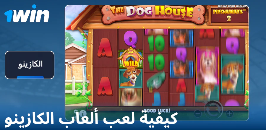 دليل اللعب في كازينو 1Win