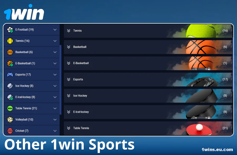Available sports types in the 1Win bookmaker