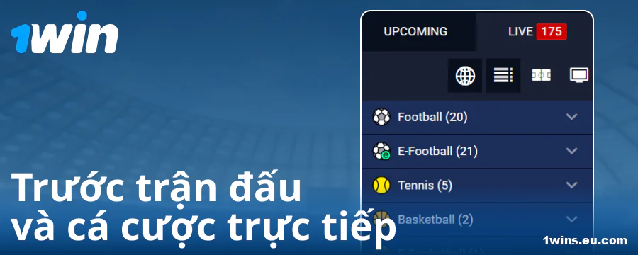 Các giải đấu trên trang web 1Win VN