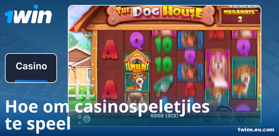 Gids oor speel by die 1Win casino