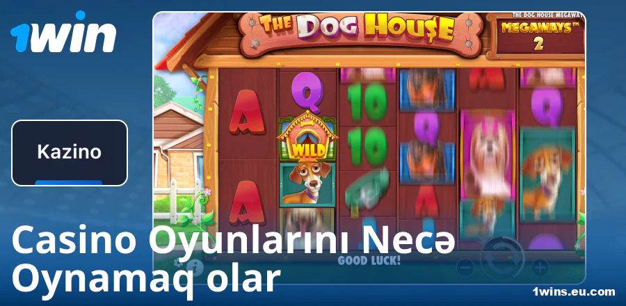 1Win AZ kazinosunda oyun təlimatı