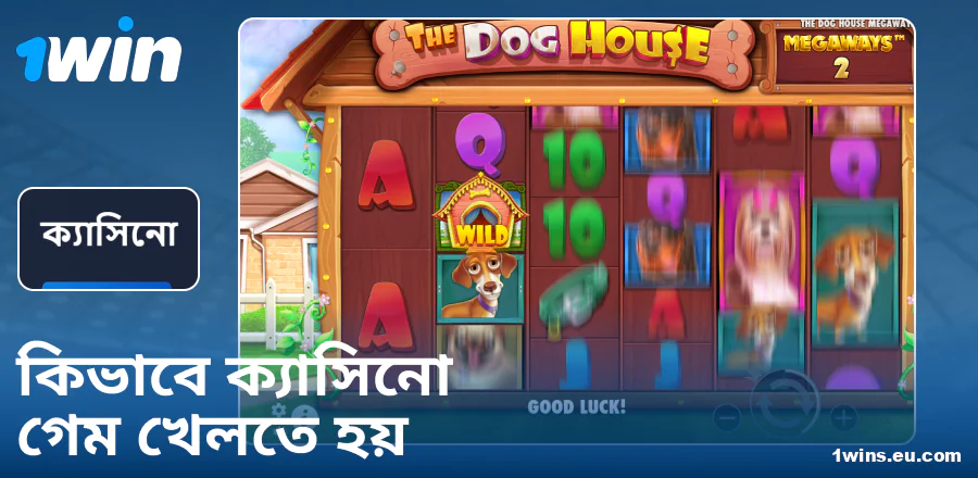 1Win BN ক্যাসিনো খেলার নির্দেশিকা