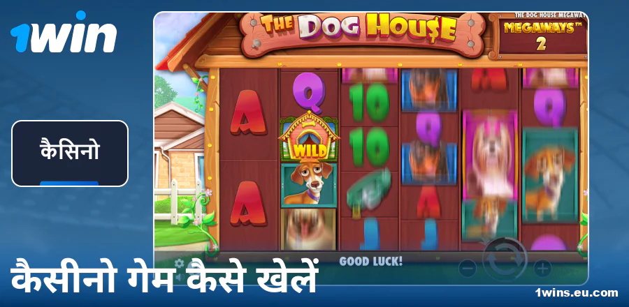 1Win IN कैसीनो गेम्स गाइड