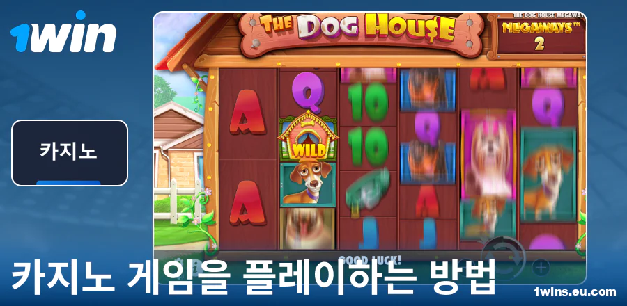 1Win KR 카지노 게임 매뉴얼
