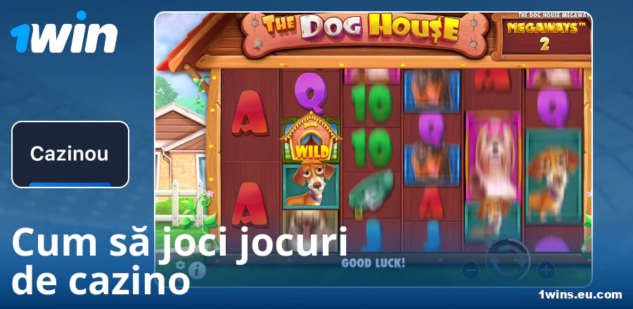 Ghid de joc la cazinoul 1Win RO