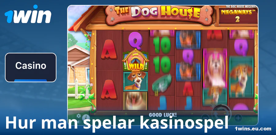 Instruktion för att spela på 1Win SE casino