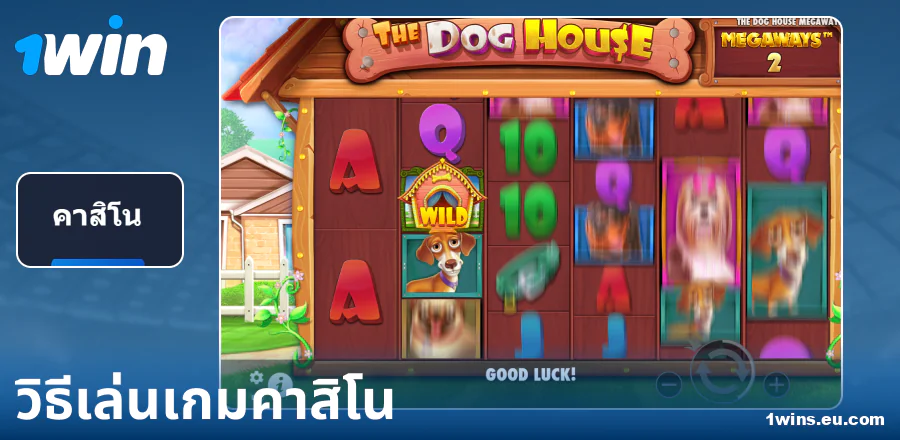 คำแนะนำในการเล่นคาสิโน 1Win ประเทศไทย