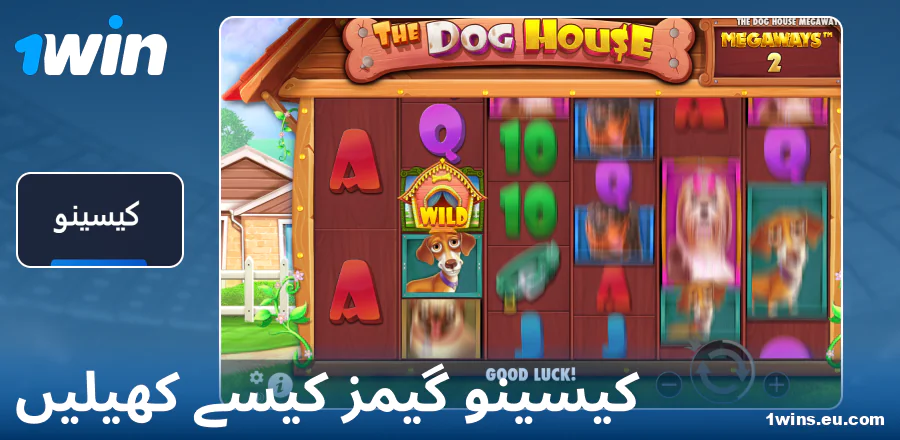 1Win PK کیسینو گیم کھیلنے کی ہدایت