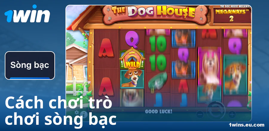 Hướng dẫn cách chơi tại sòng bạc 1Win VN