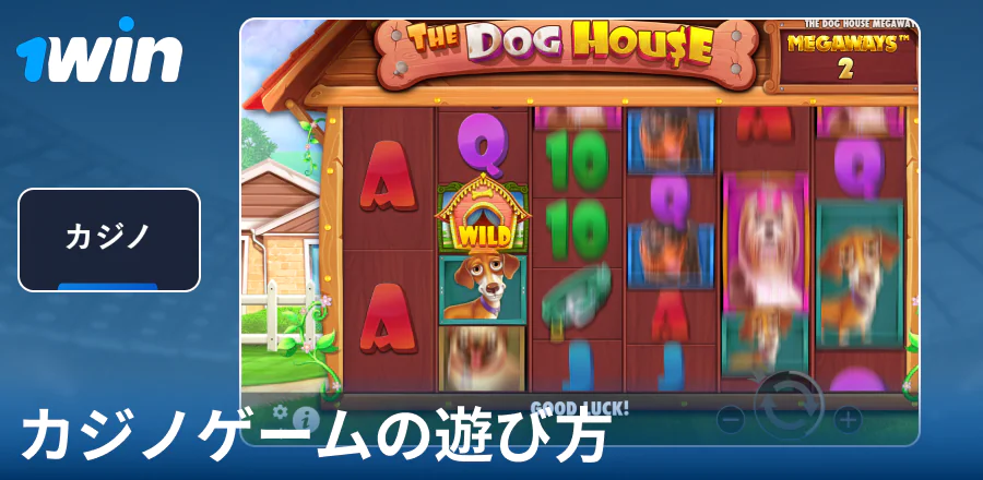 1Win JPカジノゲームの遊び方
