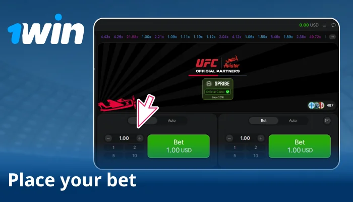 Pick stake size and set options like Auto Bet or Auto Cashout